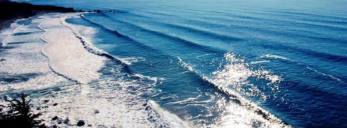 1437/Paradise Village Beach Resort - Bardez (North Goa) 18.jpg